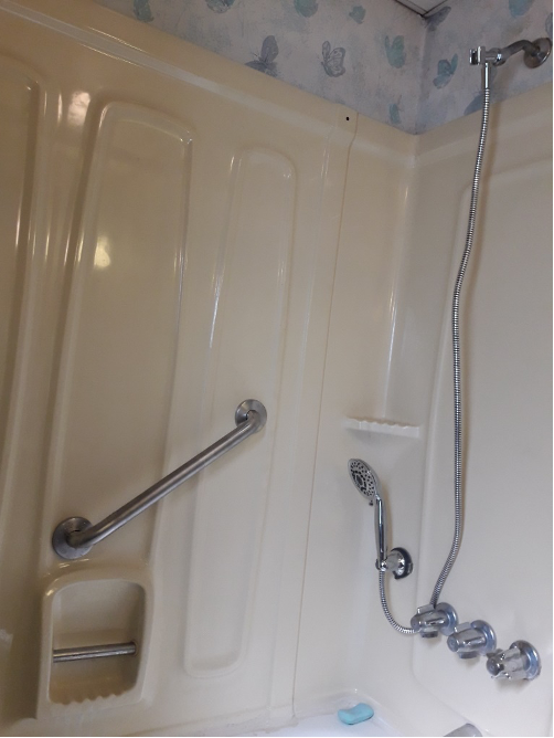 Hand-Held Shower