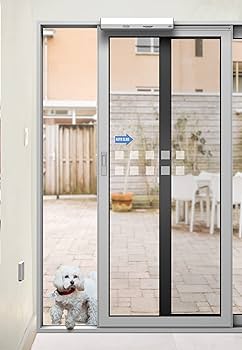 A small white dog walking through a sliding glass patio door