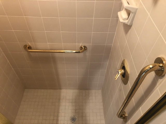 Gold Finish Grab Bars in White Bathroom