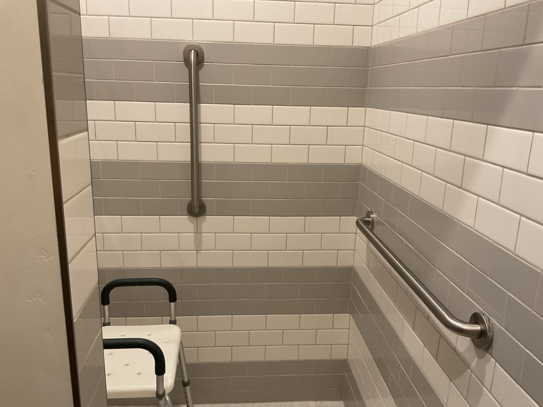 Grab bars in shower