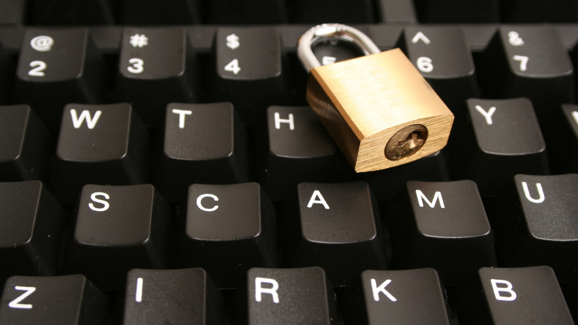 The Top Scams that Target Aging Adults 