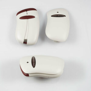 Open Sesame remote control standard