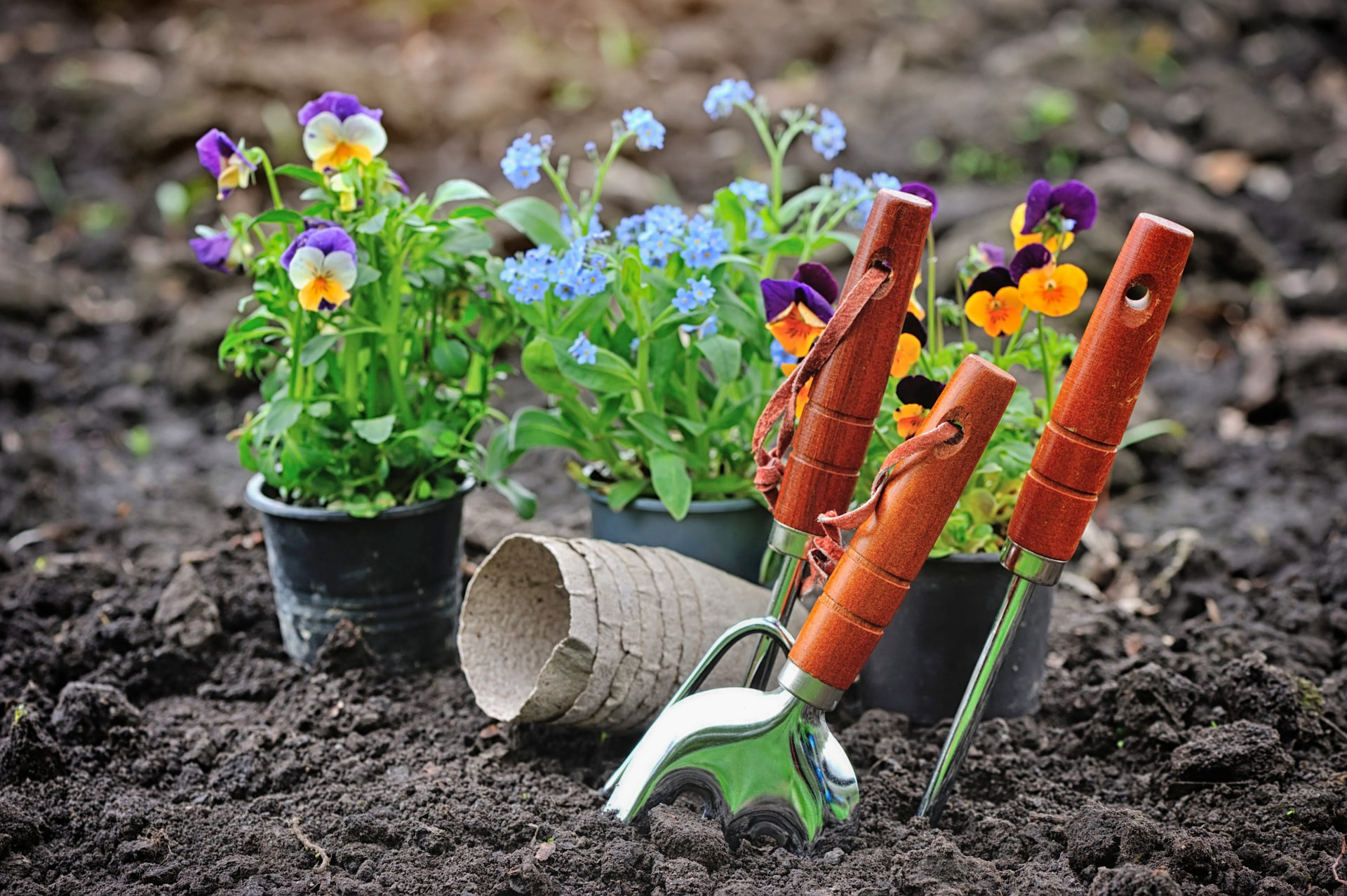 Gardening Benefits for Seniors