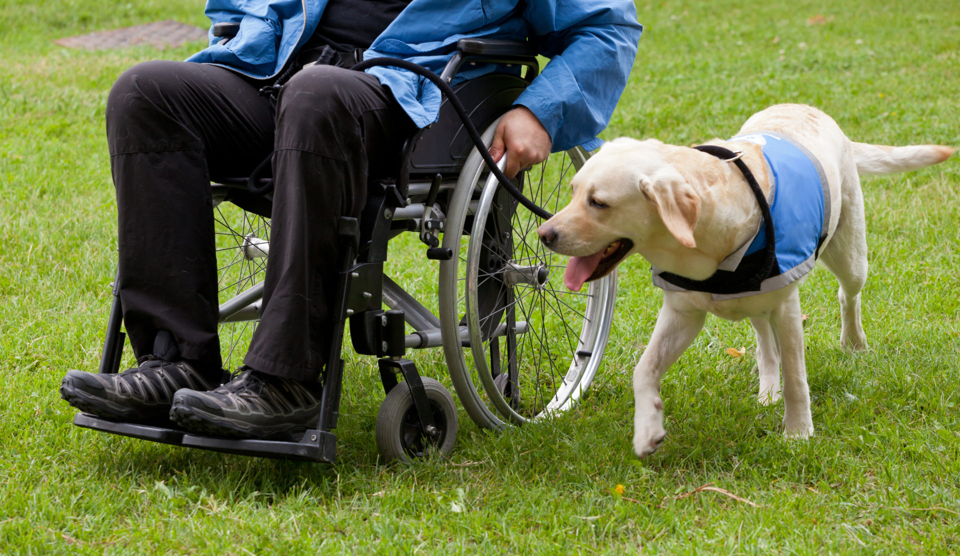 Understanding the Diversity of the Disability Community